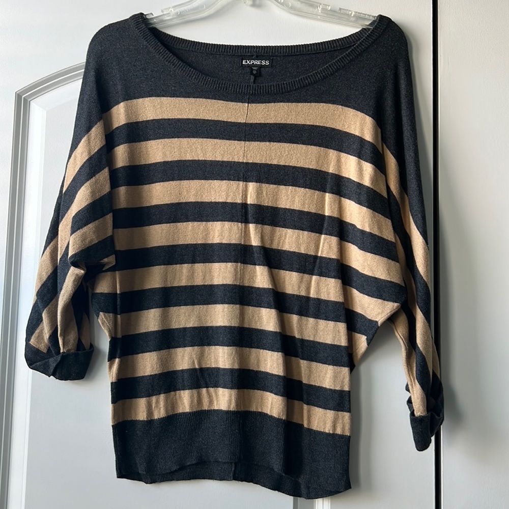 Express striped sweater